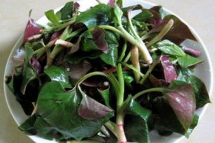 天天熬折耳根水喝对身体有好处吗？——兼谈新鲜蔬菜的养生智慧