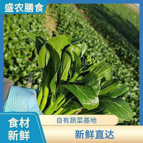 东莞虎门镇单位学校食堂生鲜食材供应新典范 专业承包与新鲜蔬菜配送服务