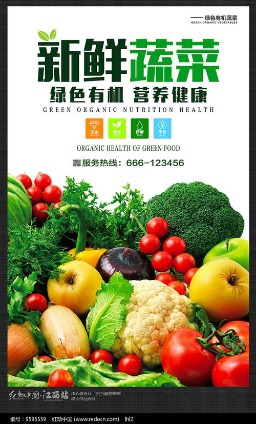 新鲜序曲——海报设计\u5206\u4eab·\u6709\u673a\u852c\u83dc\u7684\u65f6\u5149\u65b9\u7a0b\u5f0f